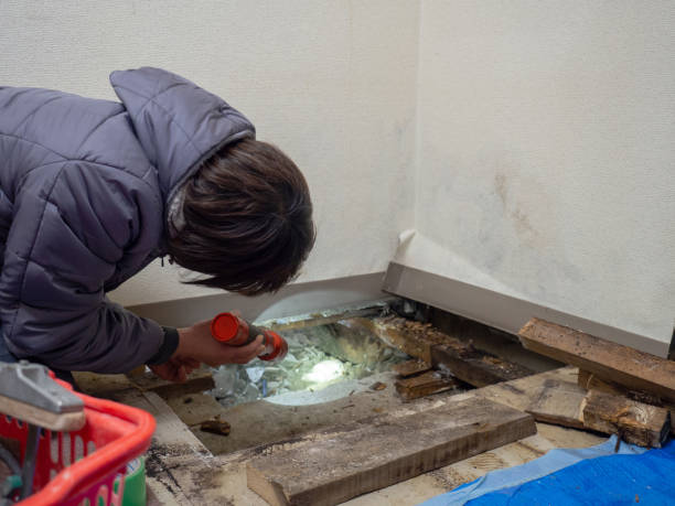 Best Asbestos and Lead Testing During Mold Inspection  in Tama, IA