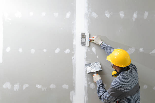 Best Biohazard Mold Removal  in Tama, IA