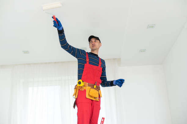 Best Emergency Mold Remediation  in Tama, IA