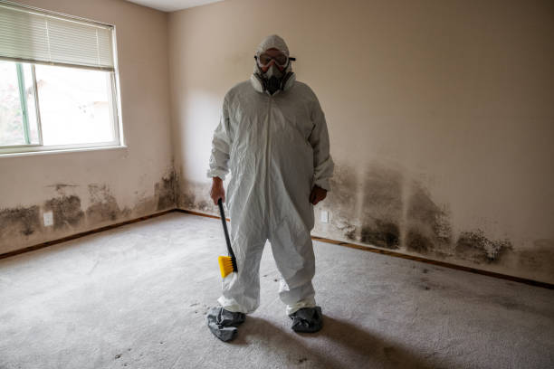 Professional Mold Removal in Tama, IA